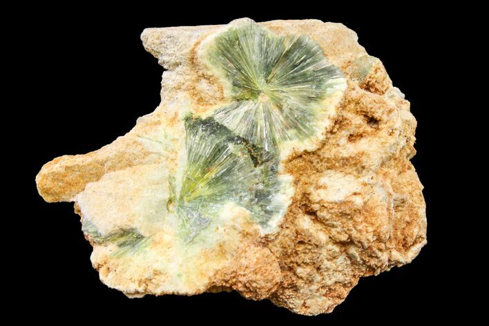 Radiating, Green Wavellite Crystal Aggregation - Arkansas #163056